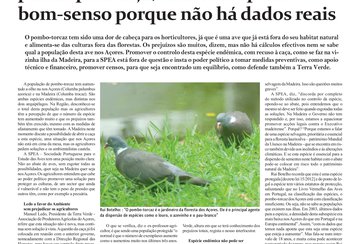 Agricultores pedem soluções para controlar pombo-torcaz, que pode passar pela caça, mas SPEA pede bom-senso porque não há dados reais