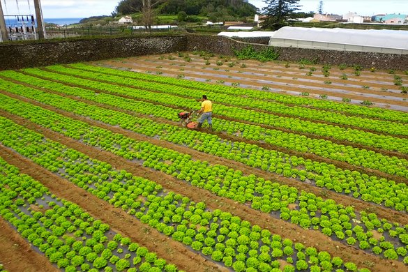 Visita técnica de produtores a coincidir com a Feira Agroglobal