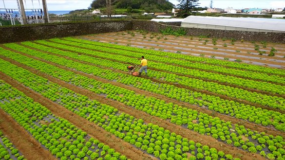 Visita técnica de produtores a coincidir com a Feira Agroglobal