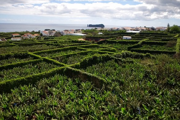 Fruteiras Sub-tropicais
