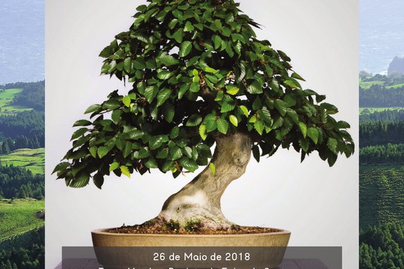 Workshop de iniciação "A arte Bonsai"