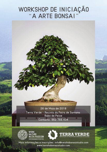 Workshop de iniciação "A arte Bonsai"