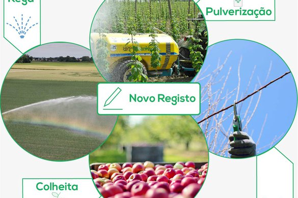 Plataforma Wisecrop - Sessão de esclarecimento