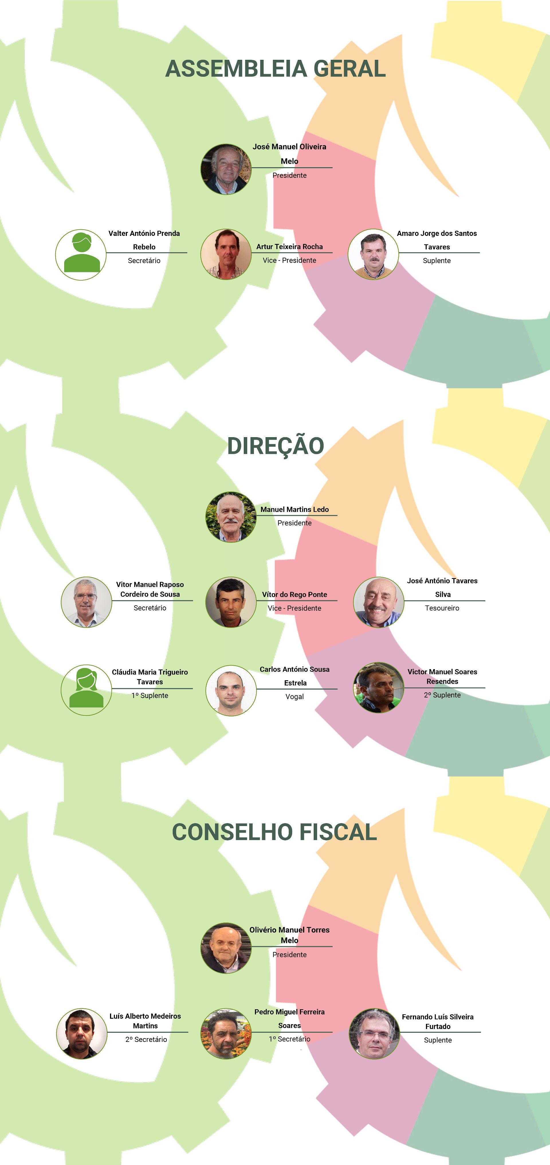 orgãos-sociais-terra-verde-resized.jpg