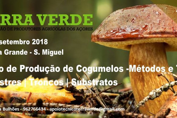 Curso de Produção de Cogumelos - Métodos e Técnicas