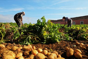 A Terra Verde e a Wisecrop dão as mãos por uma mudança no paradigma do setor agrícola