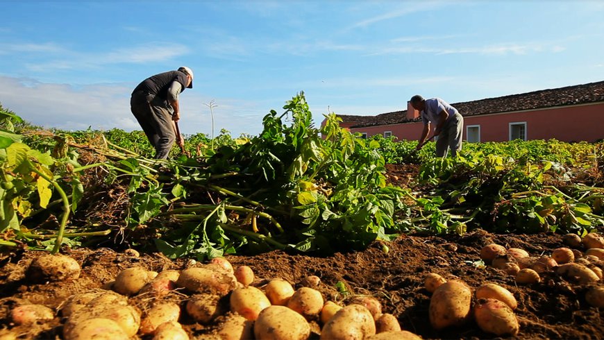 A Terra Verde e a Wisecrop dão as mãos por uma mudança no paradigma do setor agrícola