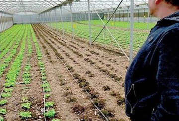 João Aguiar, um exemplo na agricultura regional