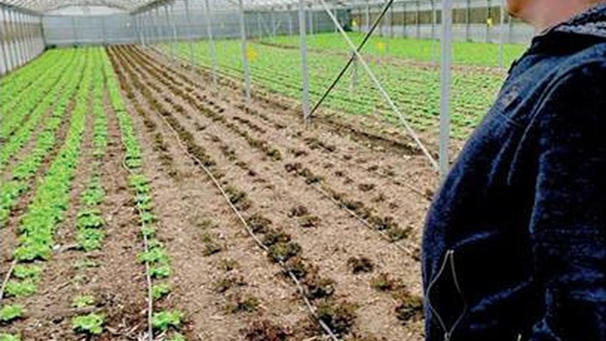 João Aguiar, um exemplo na agricultura regional