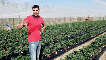 "As pessoas estão a consumir mais produtos regionais e só ...