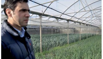 Luís Estrela pondera acabar por completo com produção de alfaces