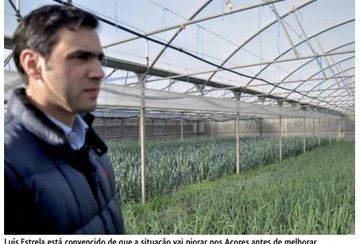 Luís Estrela pondera acabar por completo com produção de alfaces