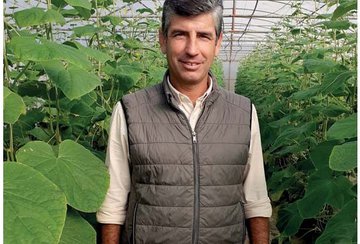 Vítor Ponte tem quatro mil plantas de pepinos em nove estufas na Lagoa