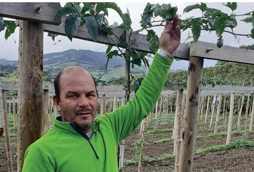 António Couto afirma que as cooperativas agrícolas estão a ser "mal geridas"